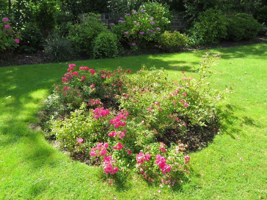 Duthus Lodge Guest House Edinburgh Luaran gambar